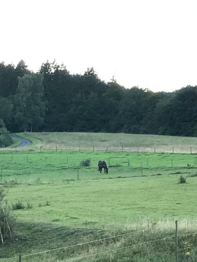 Ferienwohnung Goebel Kelberg Zewnętrze zdjęcie